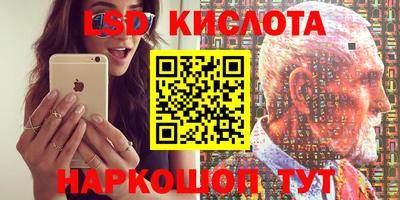 spice Дубна