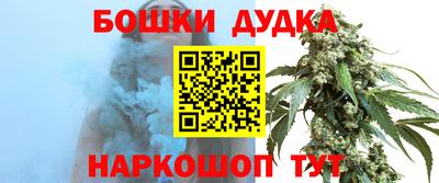 spice Дубна