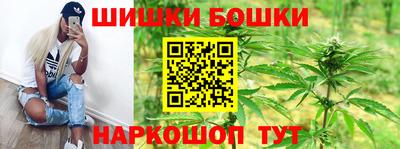 spice Дубна